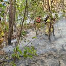 대구서변초등학교조야분교장 이미지