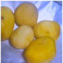 뽑기나라 | 부여 답례품 랜덤뽑기 우리나라 맛밤 후기+부여의 밤 생산량과 밤의 효능 알아보자.