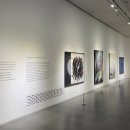 문화예술회관1 이미지