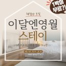 이달엔영월스테이 이미지