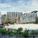 초등학력인증 취득 이미지