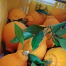 준이농장1 이미지