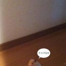 몽글몽글# 이미지