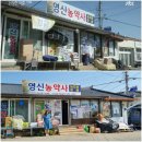 영신농약사 네이버블로그