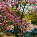 대암둔기로 이미지