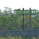 도림천역 이미지