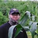 형진상회 이미지