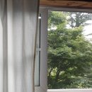 통나무파크 네이버블로그