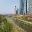 개포루체하임공인중개사사무소 이미지