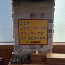 황가네(춘천) 이미지