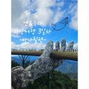 [여행. 6-3] 다낭 자유여행 3일차 _ 바나힐편 | 바나힐일일투어 | 골든브릿지 | 맥주공장 | 바나힐...