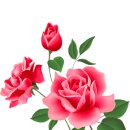 옛노래 1961 모음 이미지