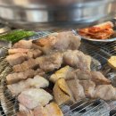식껍애오개