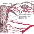 침향부부한의원 이미지