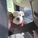 북한강로383번길21 | 26년 3주차 - 어른답게 살고 싶어요 (남양주 나들이, 설날의 폭식, F1 프리시즌, 장충동 벙)