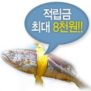 영광직판굴비