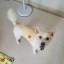 (주) 나날이 이미지