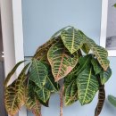 두산벤처다임 이미지