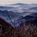 유유자적 이미지