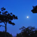 모정민박 이미지