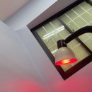 뽀빠이정형외과의원 | 족저근막염 때문에 까치발 걷기 통증 그래도 지금은 나았어요 [대구 뽀빠이연합의원 뽀빠이정형외과]