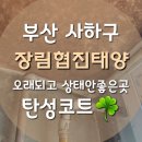 협진도료 | 장림 탄성코트 30년 협진태양 오래된집 실제시공후기