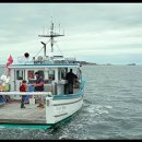see more sea C 이미지