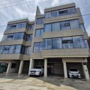 올라 아미고 펜션 이미지