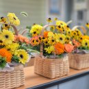 갈월초등학교 이미지