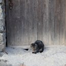 종가곶간 이미지