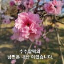 울진싱싱막회