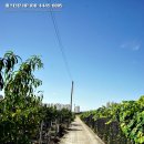 대추공인중개사사무소 이미지