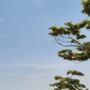 한솥도시락(공업탑점) 이미지