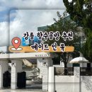 강릉 기념품| 원데이클래스|공방체험 [메이드 인 유]+ 이용후기