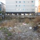 포항시북구81 이미지