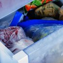 “한번 해동한 음식, 다시 얼려도 될까?”...재냉동 주의해야 할 식품 6 이미지