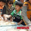 산약초 이미지