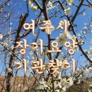 여주-0800 이미지