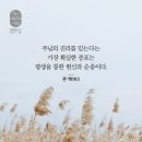 요한계시록 2:18 – 2:29 진리와 성결을 지켜 왕적 통치권을 얻는 교회/이기는 자와 끝까지 내 일을 지키 이미지