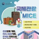 내일관광여행사