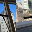 이대부속초등학교 이미지