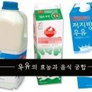 우유의 효능과 음식 궁합 이미지