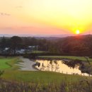 진골프클럽 이미지