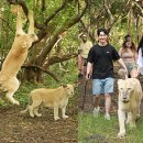 코뿔소카서비스 이미지