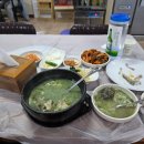 앞산옻닭앞산생오리마을 | 앞산생오리마을앞산옻닭 반계탕으로 원기회복