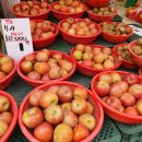 상도시장약국 이미지