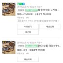 개곰순네 가꾸야 강아지 식기 높이가 중요해요!