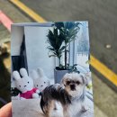 코코목욕 이미지