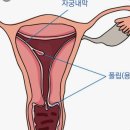 미소담의원 이미지