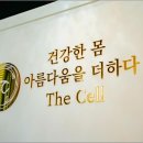 더셀에스테틱